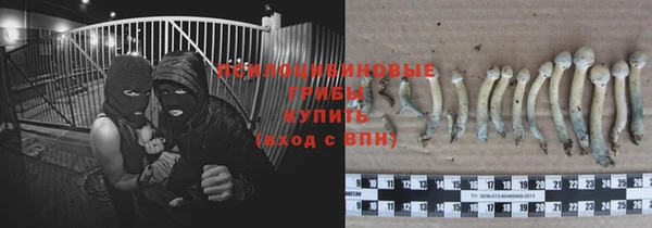 стафф Армянск