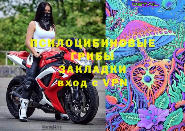 стафф Армянск