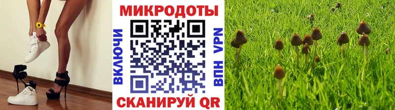 Псилоцибиновые грибы Magic Shrooms  Ульяновск 