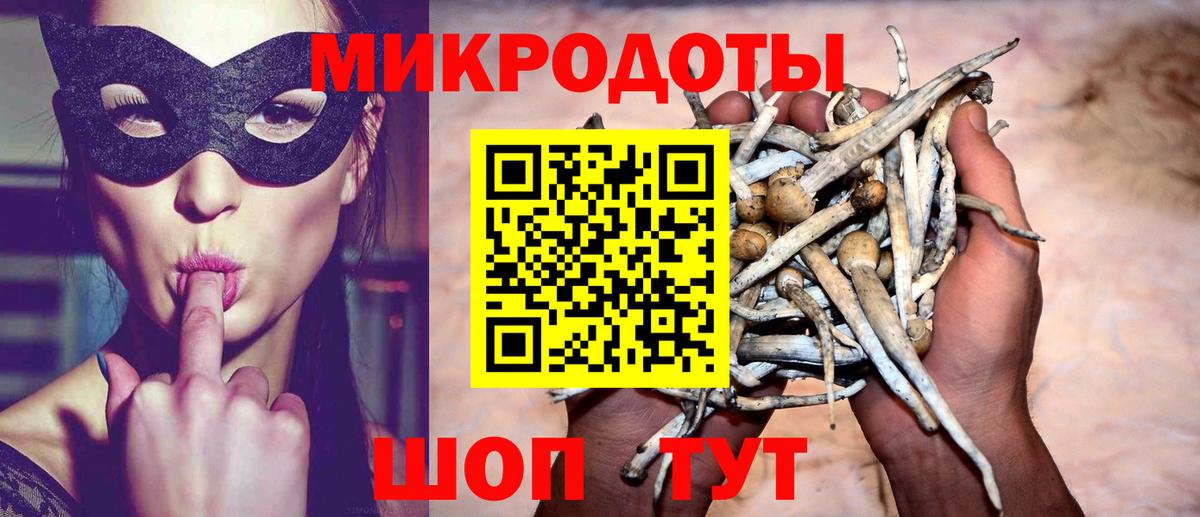 Галлюциногенные грибы прущие грибы  Вход с VPN  Галлюциногенные грибы Cubensis  Ульяновск 